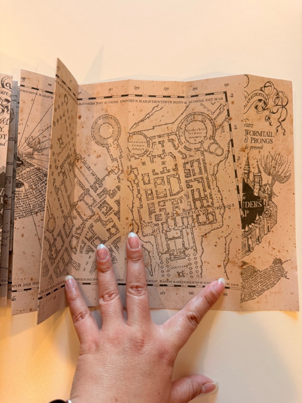 Authentic WB Marauder's Map - Picture 7 of 7